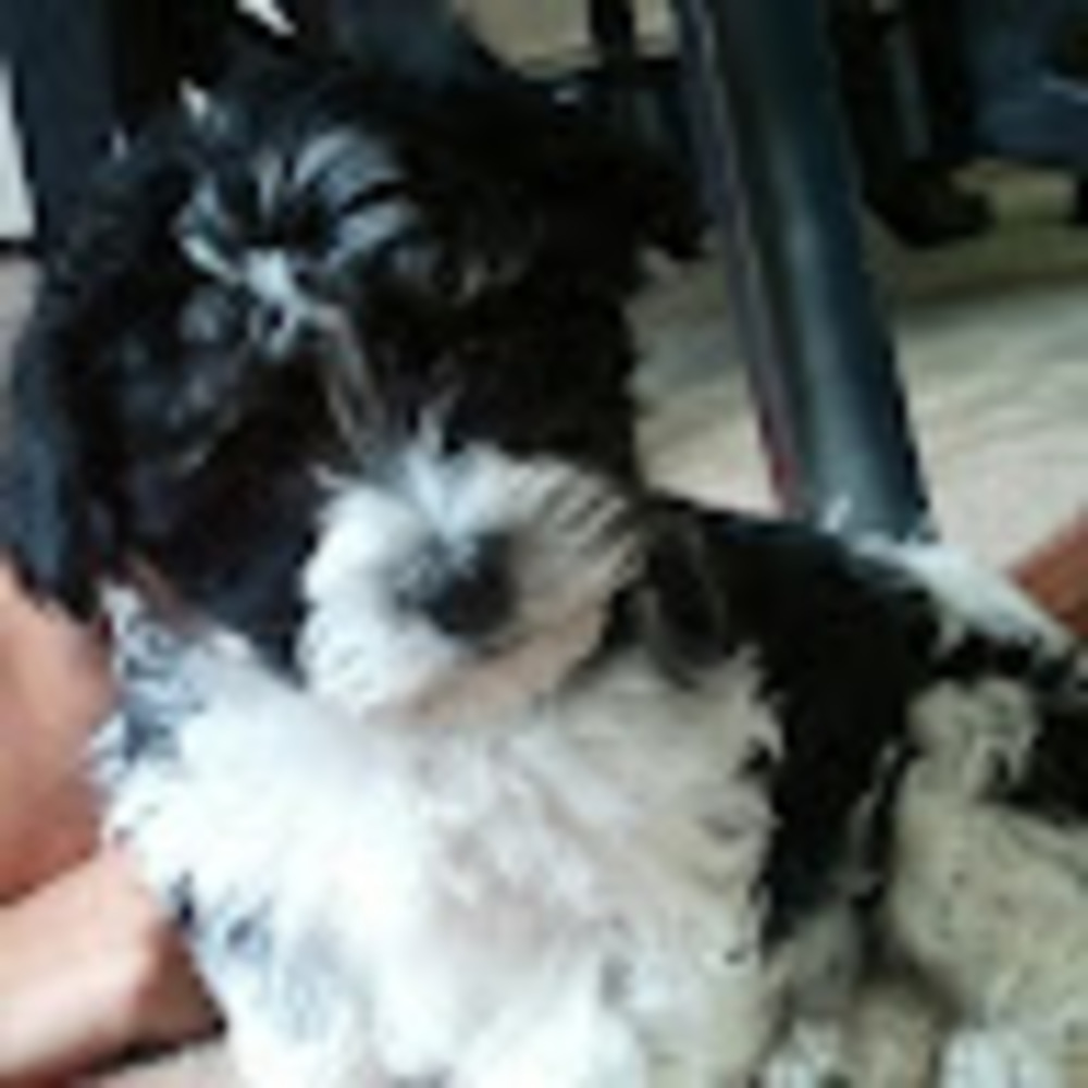 Meet your Posher, Corina